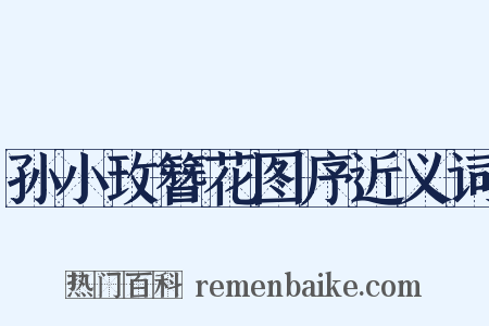 孙小玫簪花图序近义词是什么意思的图片